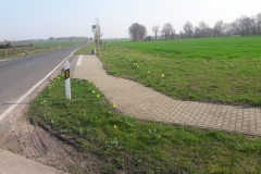 20190406_100058