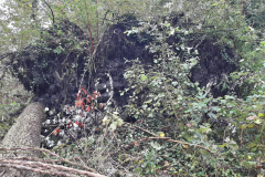 20171007_114208_Richtone(HDR)
