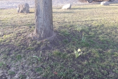 20180407_185736