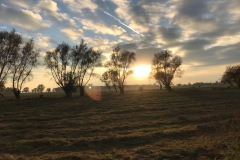 IMG-20171014-WA0001