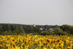 Blick zur Kirche