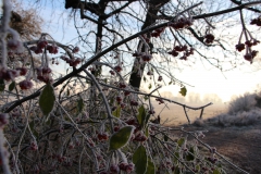 Winterbild